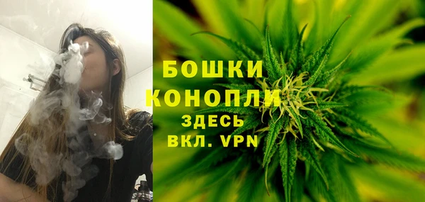 PSILOCYBIN Верхний Тагил